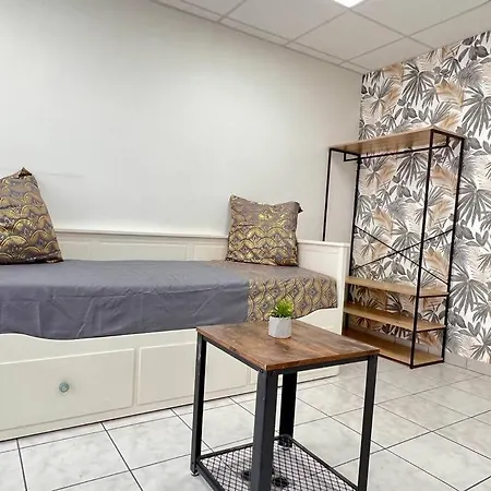 Le Petit Penon ~ T1 Bis Avec Parking /clim /fibre Apartment Saint-Georges-les-Baillargeaux