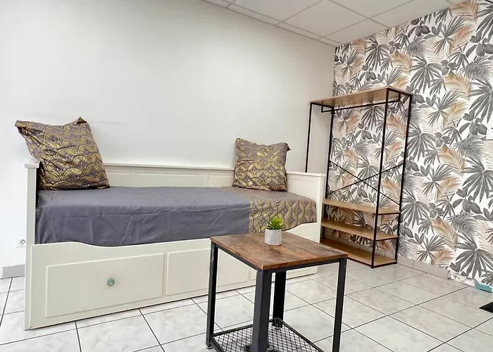 Le Petit Penon ~ T1 Bis Avec Parking /clim /fibre Apartment Saint-Georges-les-Baillargeaux